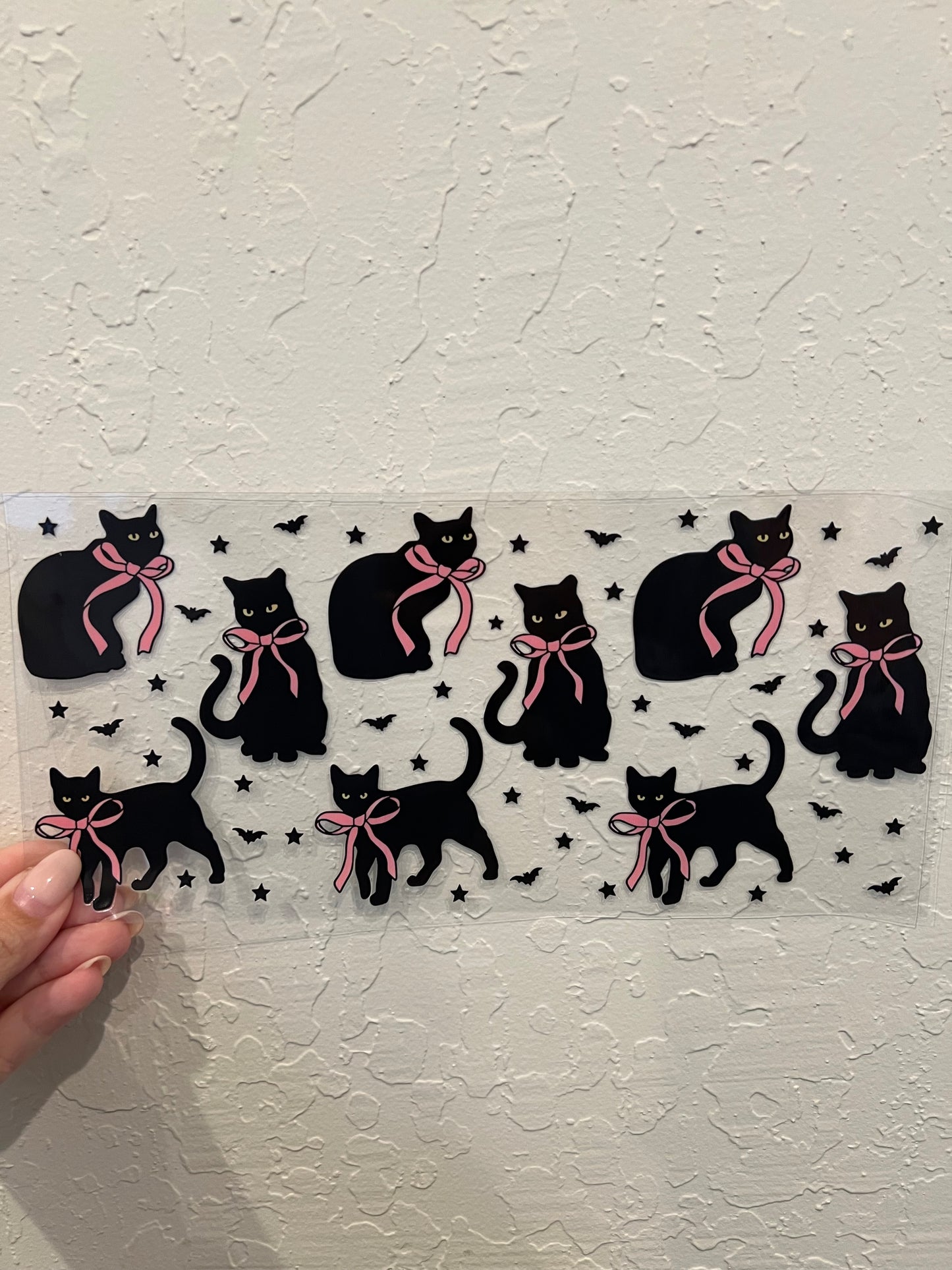 Cats 11
