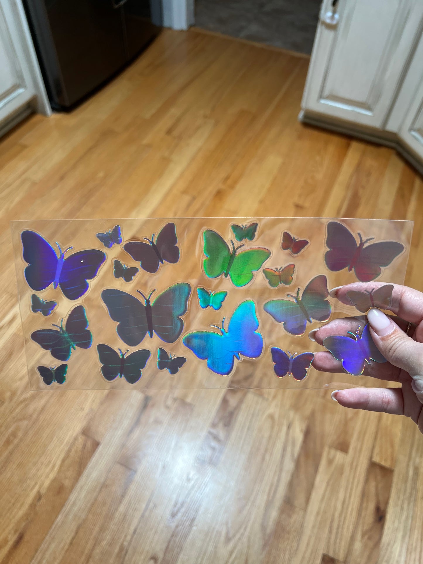 Holographic butterfly 12