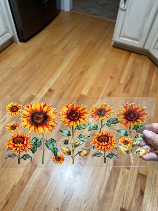 Sunflower 13