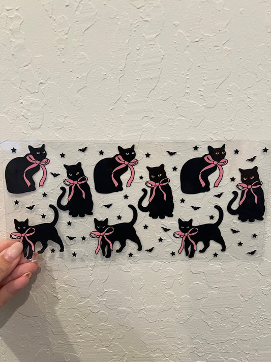 Cats 11