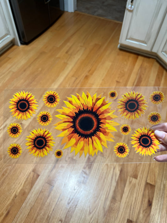 Sunflower 11