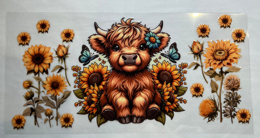 Sunflower highland cow