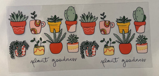 Plants