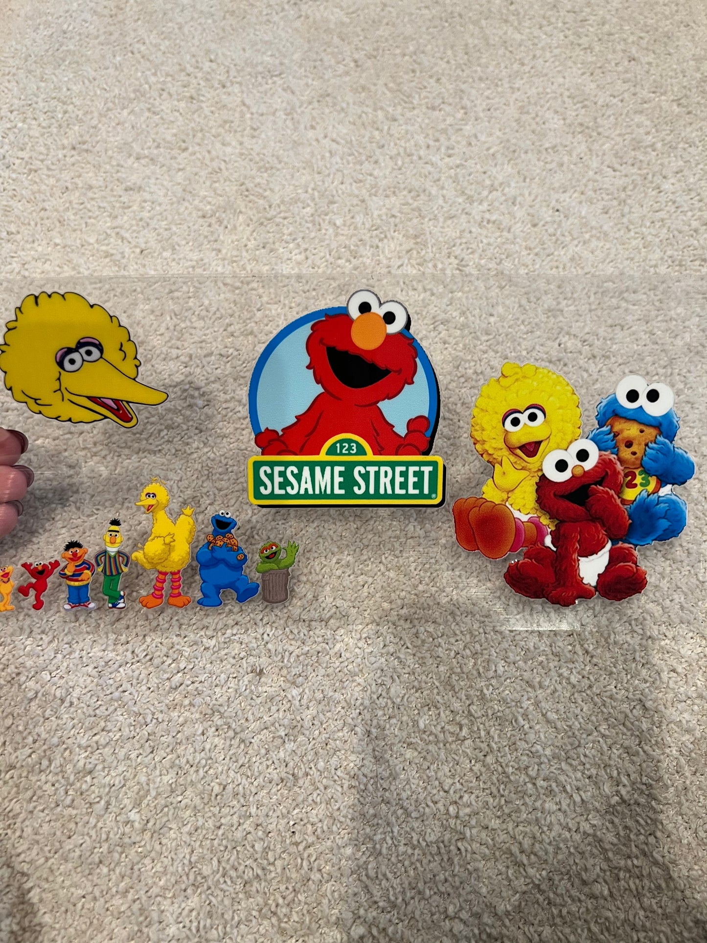 Sesame Street 9011