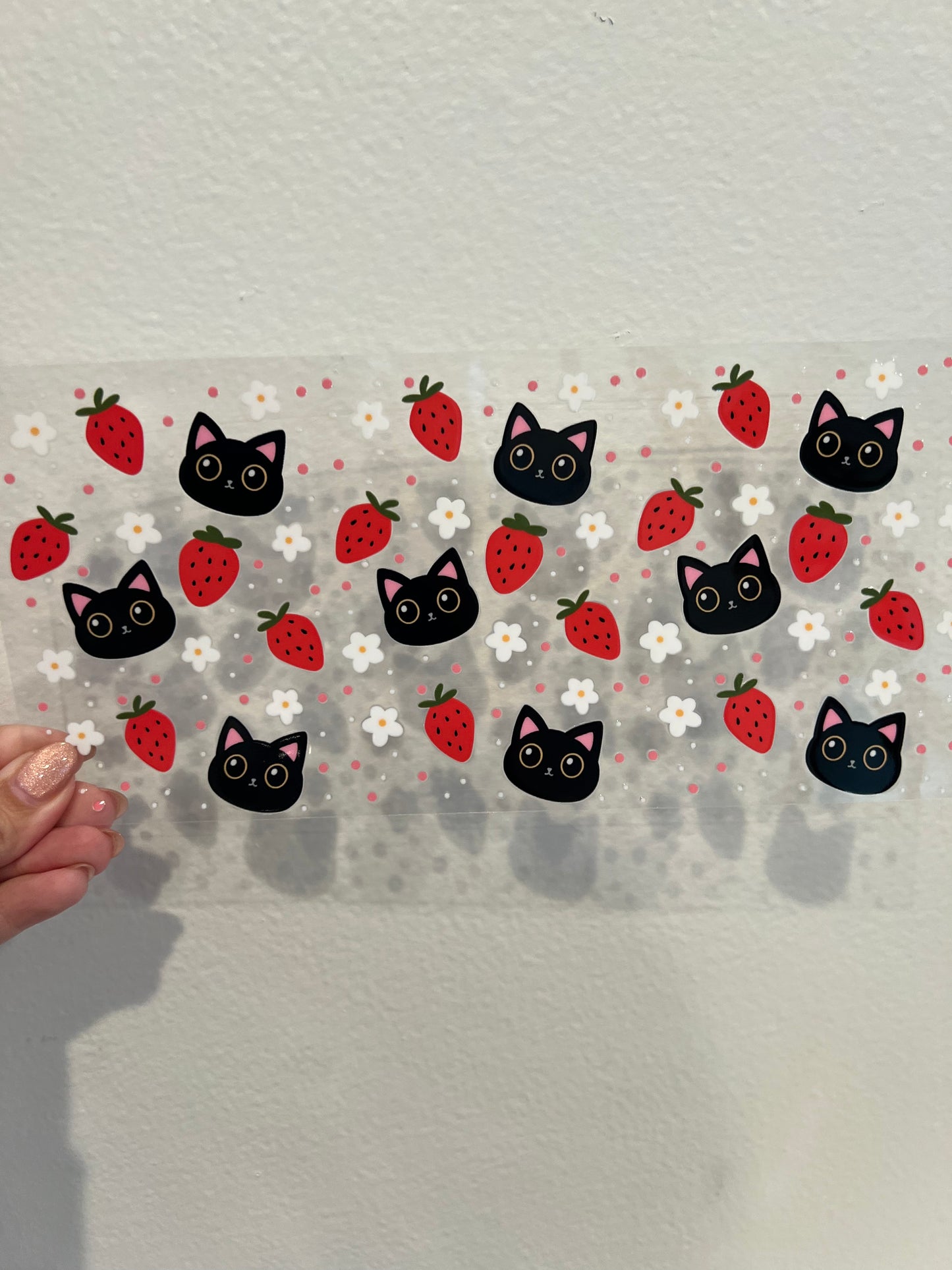 Cats 13