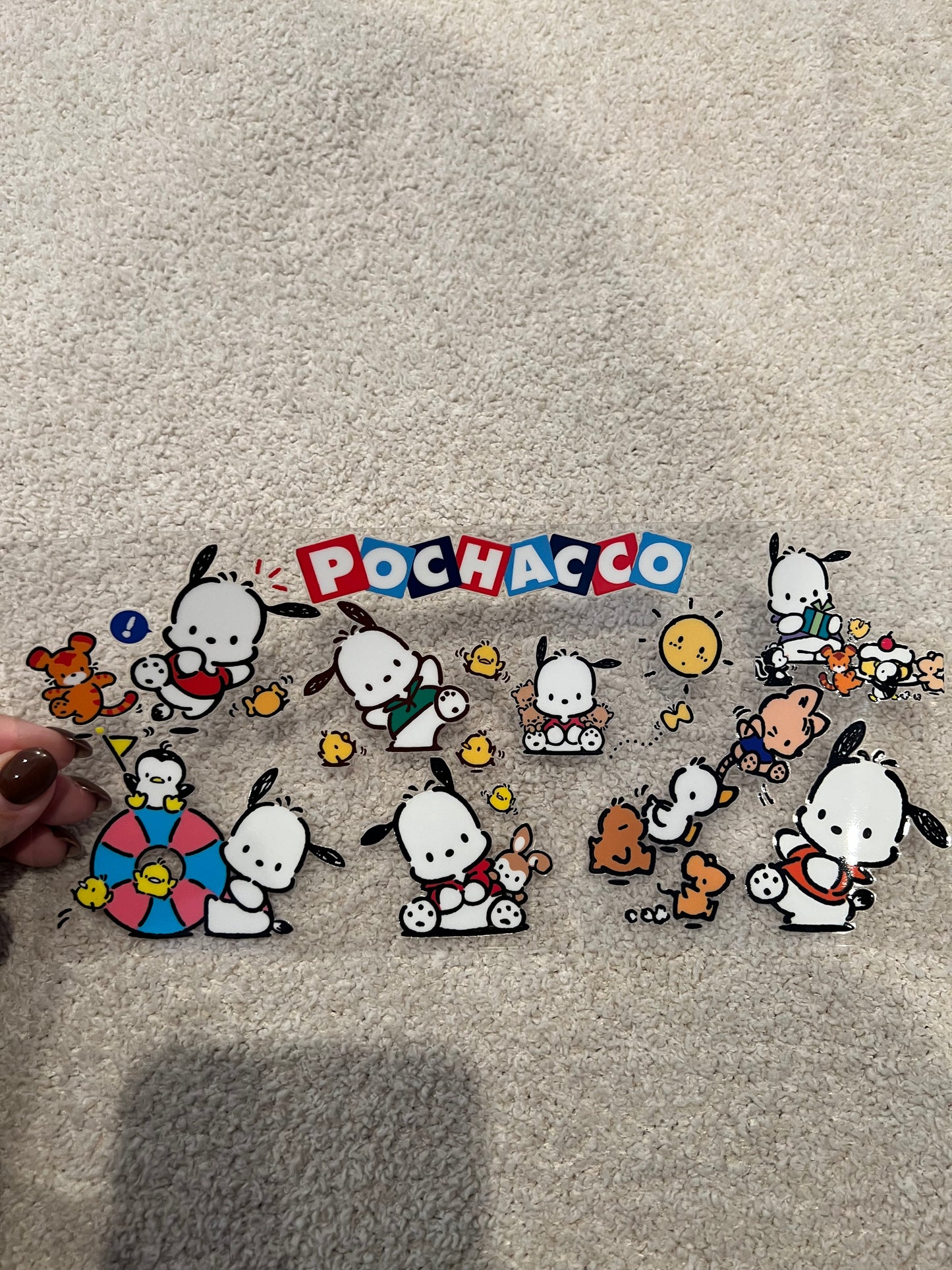 Pochacco 1